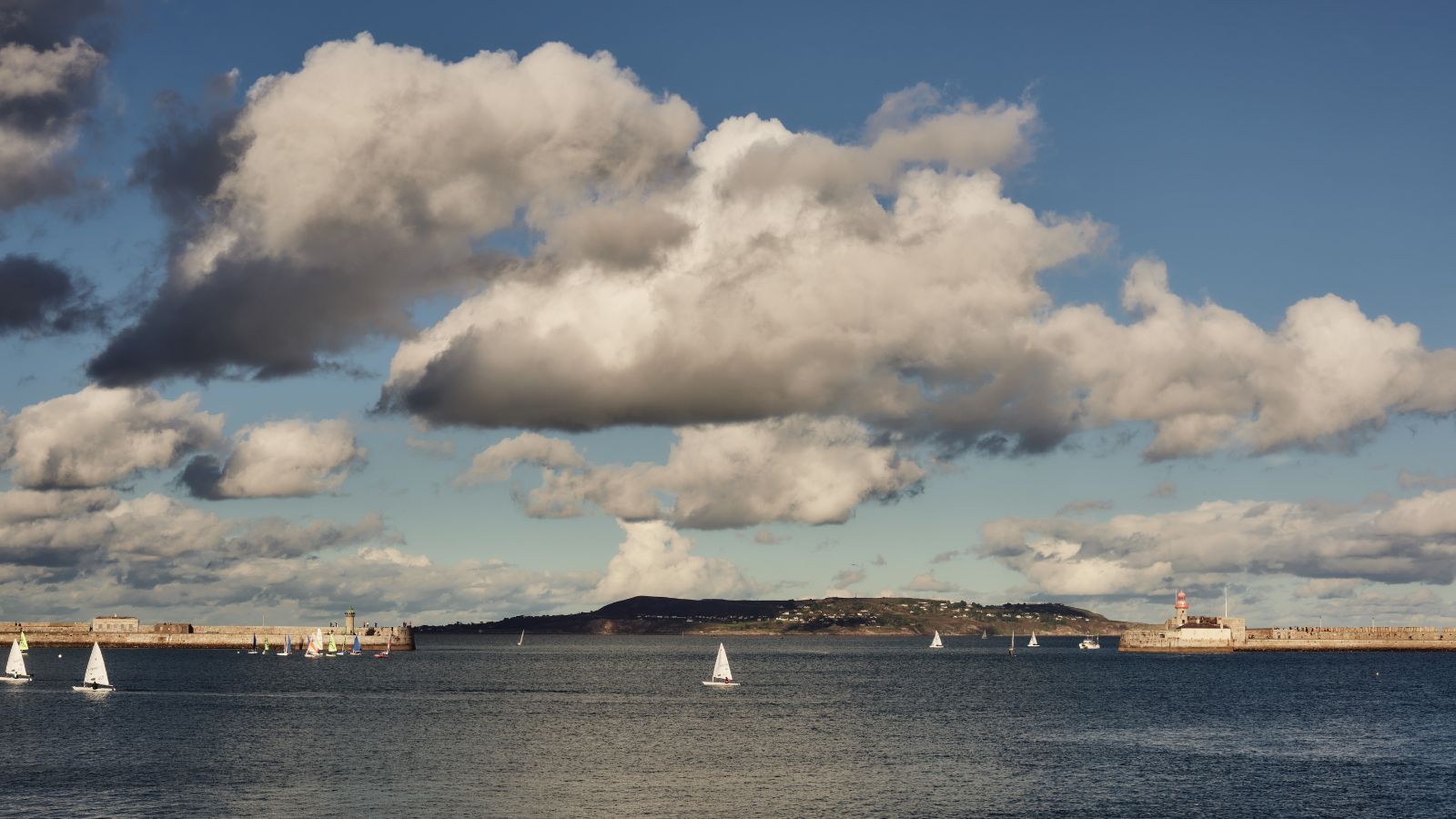 Website Banner - 1600900 (18)