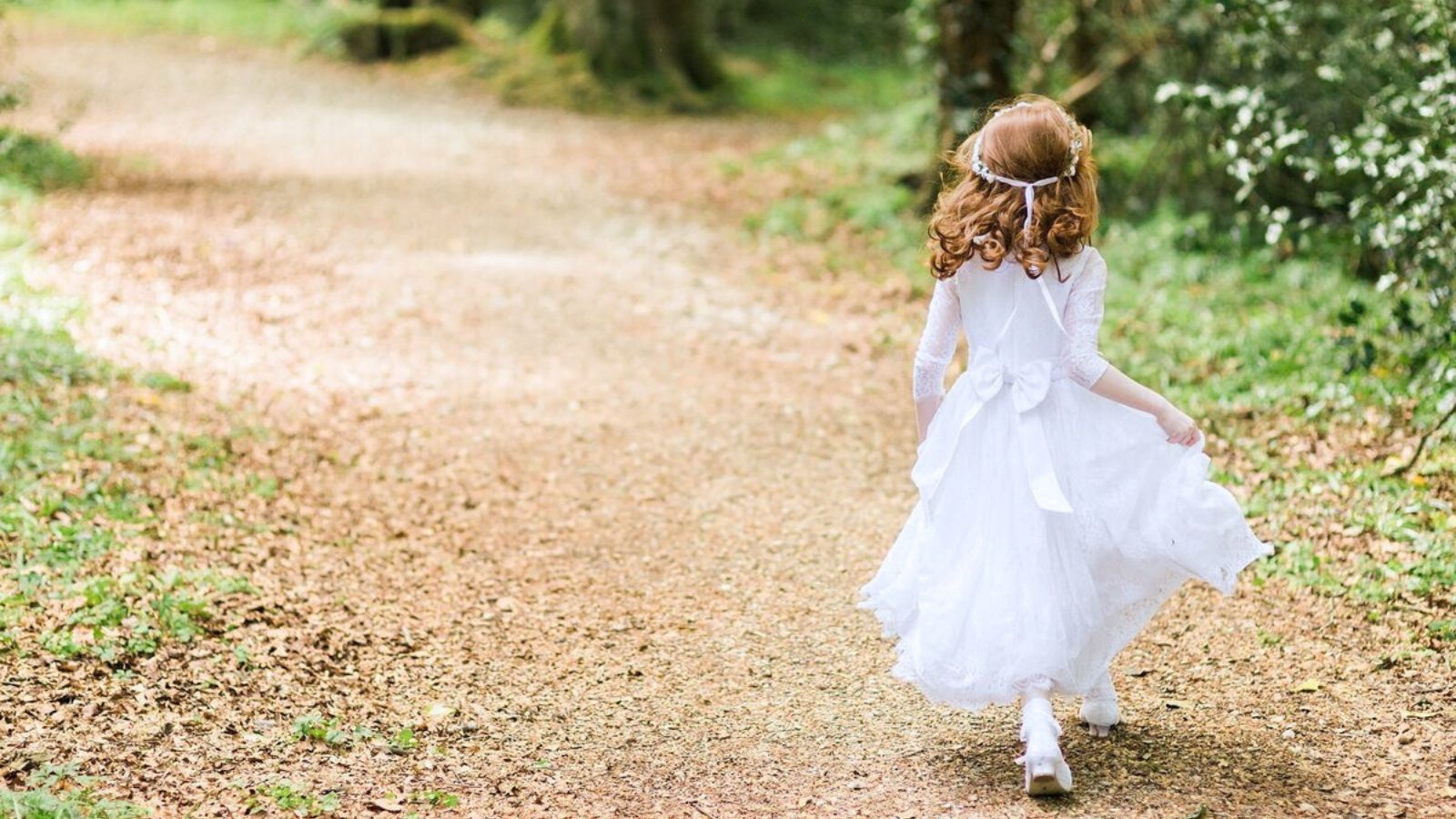 Website Banner - 1600900