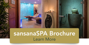 button_-_sansanaspa_brochure.png ( Button - sansanaSPA ) button sansanaspa brochure