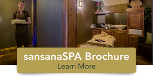 button_-_spa_brochure.png ( Button - Spa Brochur) button spa brochure