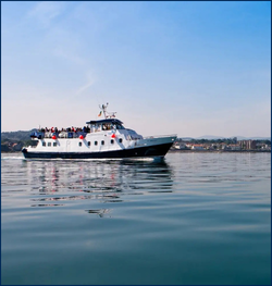 summer_bbq_-_image_1.png ( Summer BBQ - Image 1) summer bbq image 1