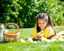 2-night bed & breakfast with dinner on one evening 