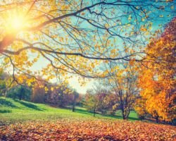 View our special Autumn offers 